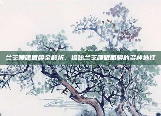 兰芝睡眠面膜全解析,揭秘兰芝睡眠面膜的多样选择