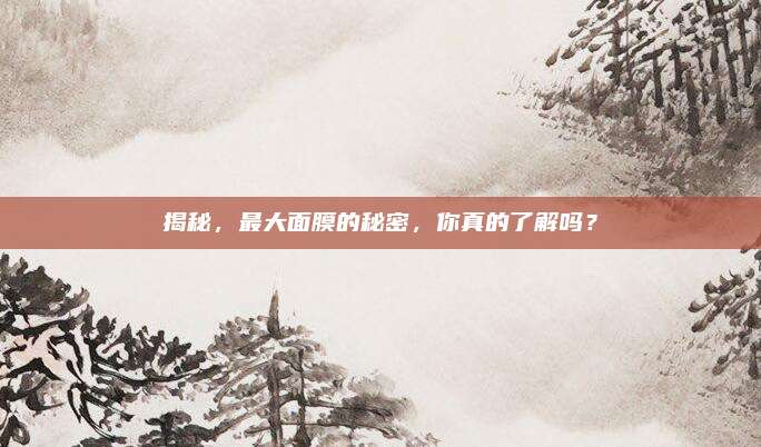 揭秘,最大面膜的秘密,你真的了解吗?