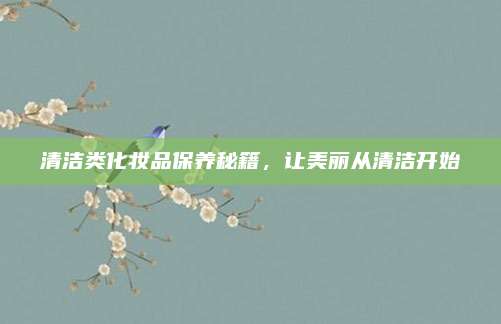 清洁类化妆品保养秘籍,让美丽从清洁开始