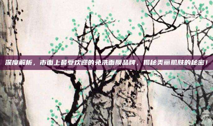 深度解析,市面上最受欢迎的免洗面膜品牌,揭秘美丽肌肤的秘密!