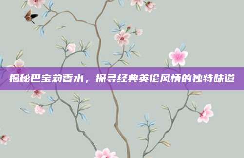 揭秘巴宝莉香水，探寻经典英伦风情的独特味道
