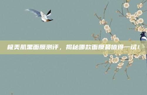 极美肌黑面膜测评,揭秘哪款面膜最值得一试!