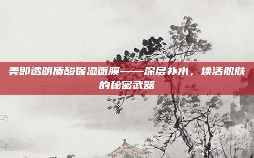 美即透明质酸保湿面膜——深层补水，焕活肌肤的秘密武器
