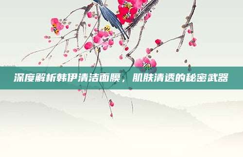 深度解析韩伊清洁面膜，肌肤清透的秘密武器