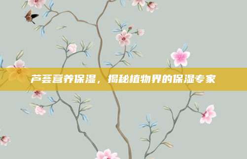 芦荟营养保湿，揭秘植物界的保湿专家