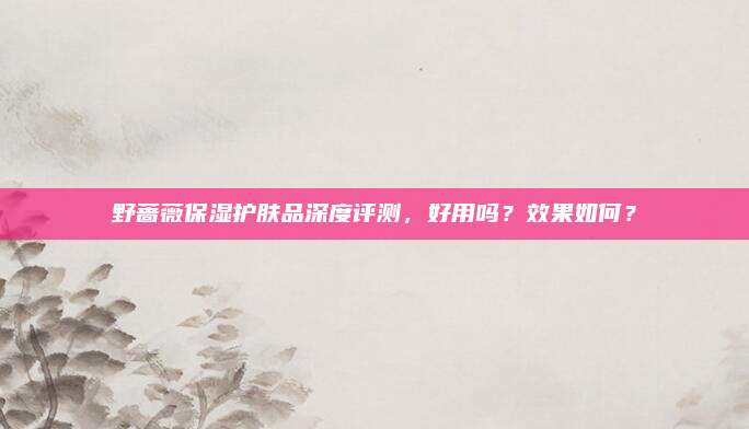 野蔷薇保湿护肤品深度评测，好用吗？效果如何？