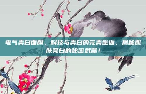 电气美白面膜,科技与美白的完美邂逅,揭秘肌肤亮白的秘密武器!