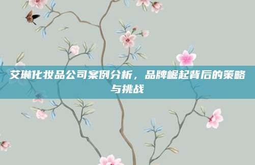 艾琳化妆品公司案例分析，品牌崛起背后的策略与挑战
