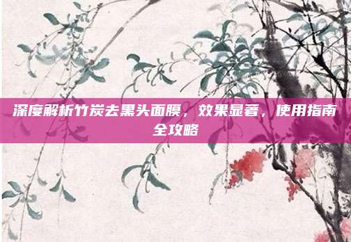 深度解析竹炭去黑头面膜，效果显著，使用指南全攻略