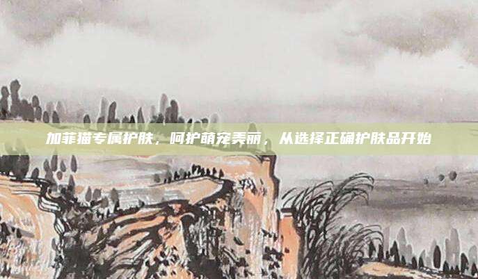 加菲猫专属护肤,呵护萌宠美丽,从选择正确护肤品开始