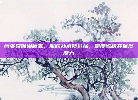 薇姿泉保湿喷雾,肌肤补水新选择,深度解析其保湿魔力