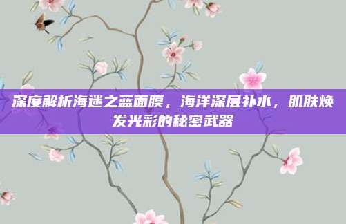 深度解析海迷之蓝面膜，海洋深层补水，肌肤焕发光彩的秘密武器