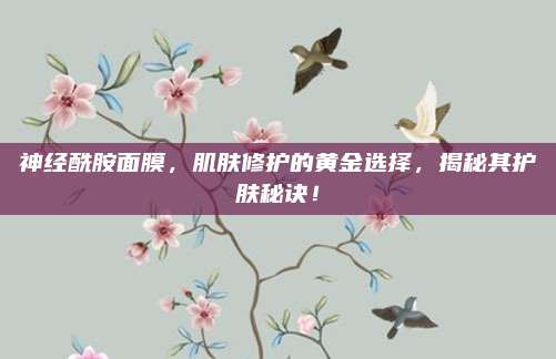 神经酰胺面膜，肌肤修护的黄金选择，揭秘其护肤秘诀！