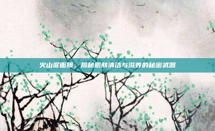 火山泥面膜，揭秘肌肤清洁与滋养的秘密武器