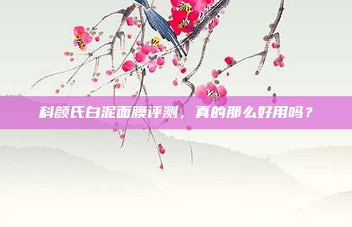 科颜氏白泥面膜评测，真的那么好用吗？