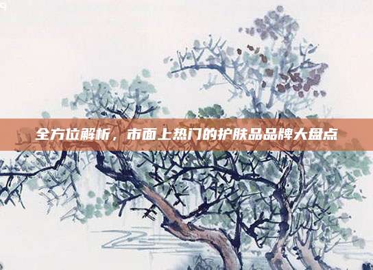 全方位解析,市面上热门的护肤品品牌大盘点