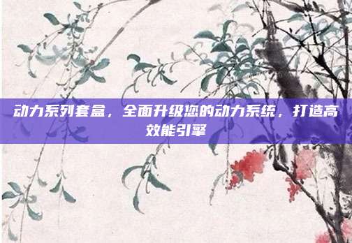 动力系列套盒,全面升级您的动力系统,打造高效能引擎