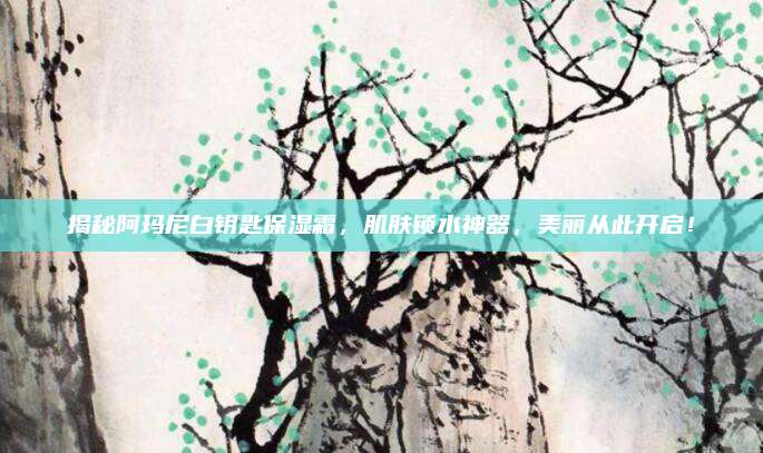 揭秘阿玛尼白钥匙保湿霜，肌肤锁水神器，美丽从此开启！