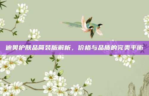 迪奥护肤品简装版解析，价格与品质的完美平衡