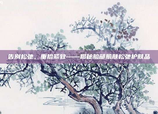 告别松弛，重拾紧致——揭秘脸部肌肤松弛护肤品