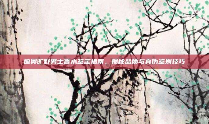 迪奥旷野男士香水鉴定指南，揭秘品质与真伪鉴别技巧