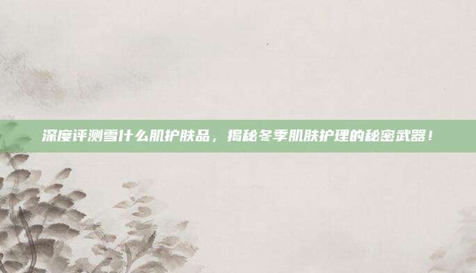 深度评测雪什么肌护肤品，揭秘冬季肌肤护理的秘密武器！