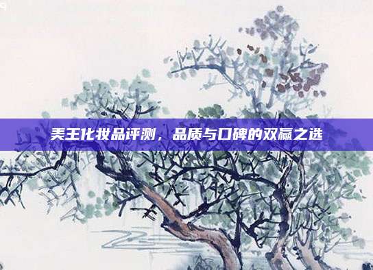 美王化妆品评测，品质与口碑的双赢之选