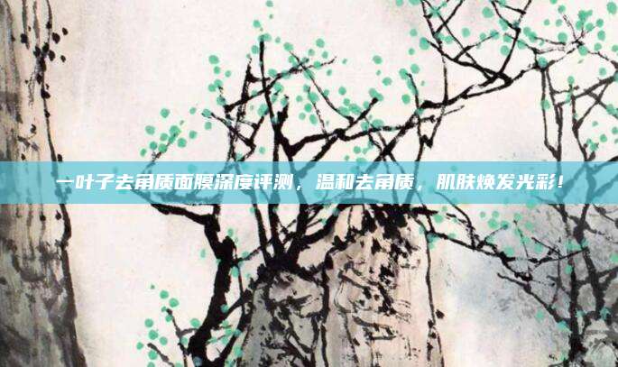 一叶子去角质面膜深度评测，温和去角质，肌肤焕发光彩！