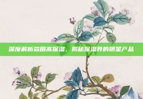 深度解析森田高保湿，揭秘保湿界的明星产品