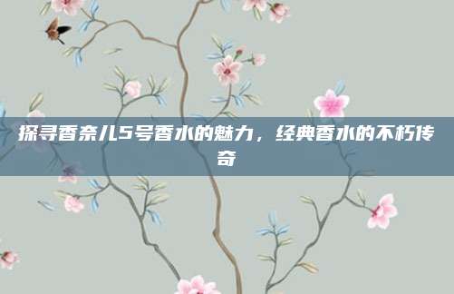 探寻香奈儿5号香水的魅力，经典香水的不朽传奇