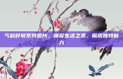 气韵舒敏系列图片，捕捉生活之美，展现独特魅力