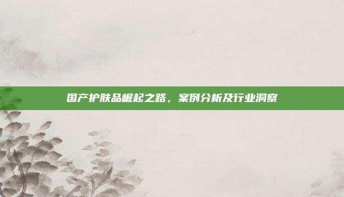 国产护肤品崛起之路,案例分析及行业洞察