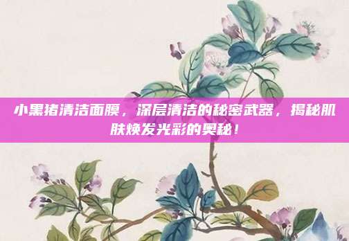 小黑猪清洁面膜，深层清洁的秘密武器，揭秘肌肤焕发光彩的奥秘！