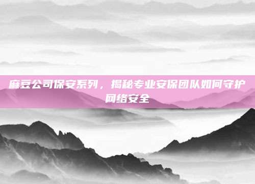 麻豆公司保安系列，揭秘专业安保团队如何守护网络安全