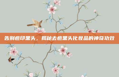 告别痘印黑头，揭秘去痘黑头化妆品的神奇功效