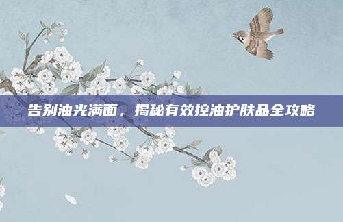 告别油光满面，揭秘有效控油护肤品全攻略