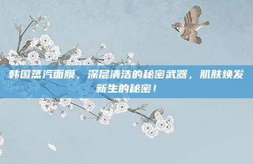 韩国蒸汽面膜，深层清洁的秘密武器，肌肤焕发新生的秘密！