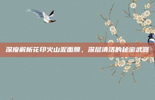 深度解析花印火山泥面膜，深层清洁的秘密武器