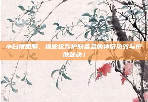 小白猪面膜,揭秘这款护肤圣品的神奇功效与护肤秘诀!