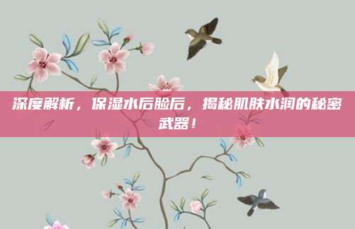 深度解析,保湿水后脸后,揭秘肌肤水润的秘密武器!