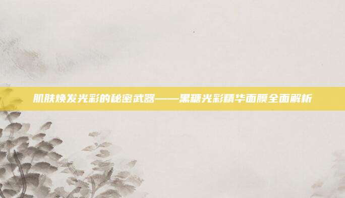 肌肤焕发光彩的秘密武器——黑糖光彩精华面膜全面解析