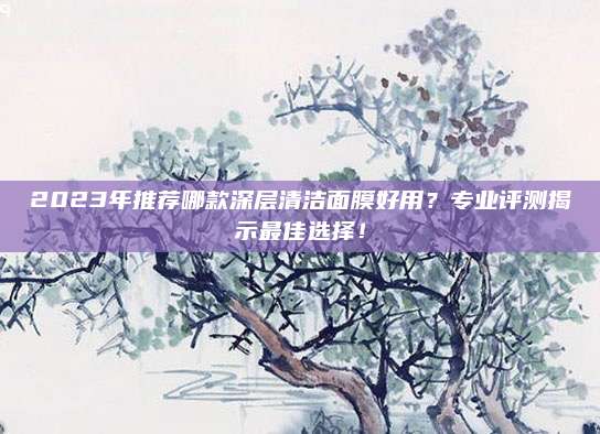 2023年推荐哪款深层清洁面膜好用?专业评测揭示最佳选择!
