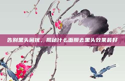 告别黑头困扰，揭秘什么面膜去黑头效果最好