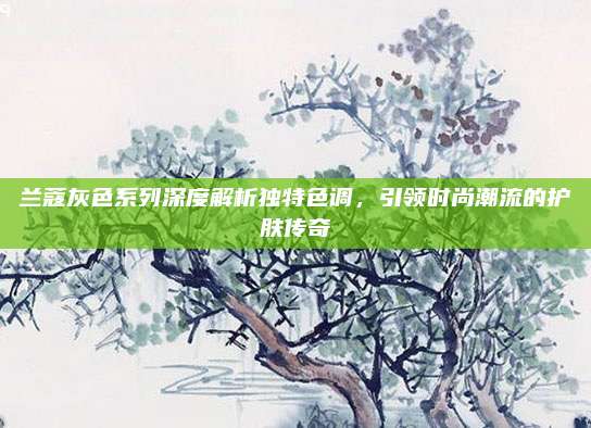 兰蔻灰色系列深度解析独特色调，引领时尚潮流的护肤传奇