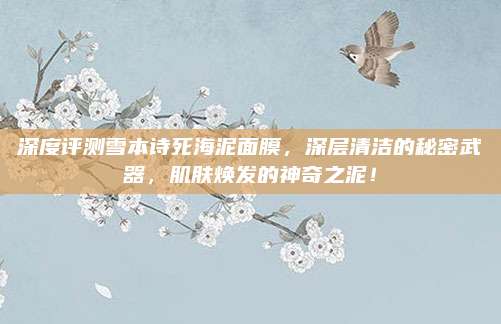 深度评测雪本诗死海泥面膜，深层清洁的秘密武器，肌肤焕发的神奇之泥！