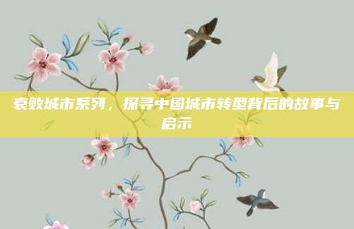 衰败城市系列,探寻中国城市转型背后的故事与启示