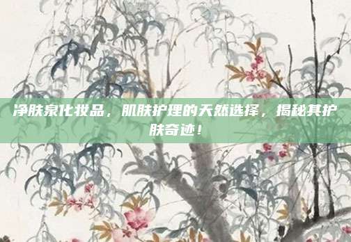 净肤泉化妆品,肌肤护理的天然选择,揭秘其护肤奇迹!