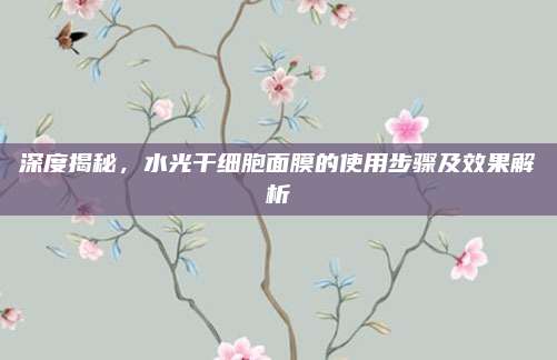 深度揭秘,水光干细胞面膜的使用步骤及效果解析