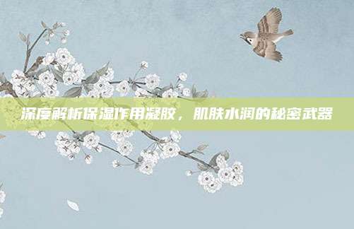 深度解析保湿作用凝胶，肌肤水润的秘密武器
