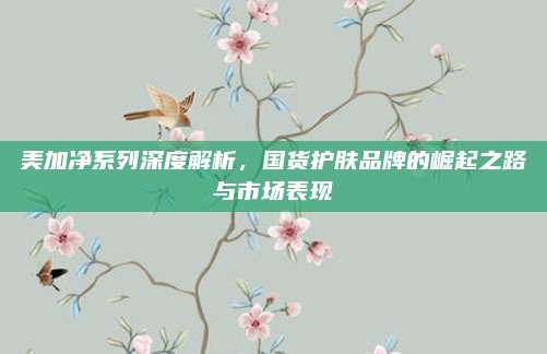 美加净系列深度解析，国货护肤品牌的崛起之路与市场表现